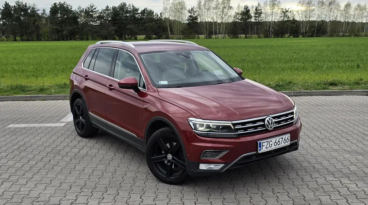 lubuskie Volkswagen Tiguan cena 89000 przebieg: 177000, rok produkcji 2016 z Iłowa